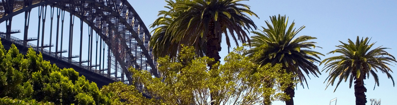 虚拟号码外呼软件